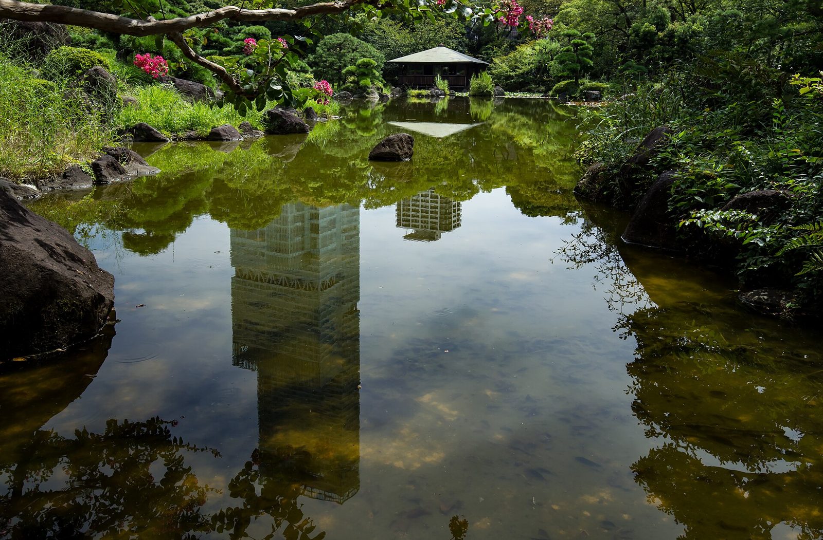 Abeno Harukas from the gardens at Tennoji