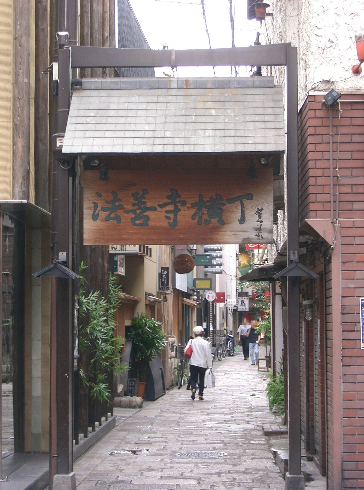 The stone lane of Hozenji Yokocho