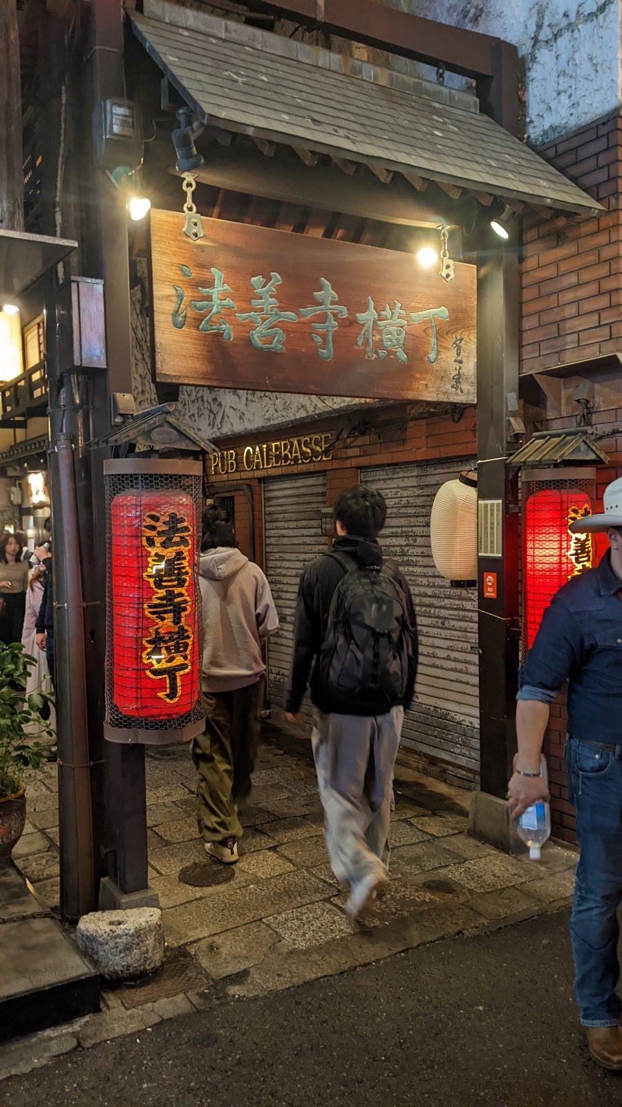 Lanterns along Hozenji Yokocho